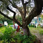 Casa Mia