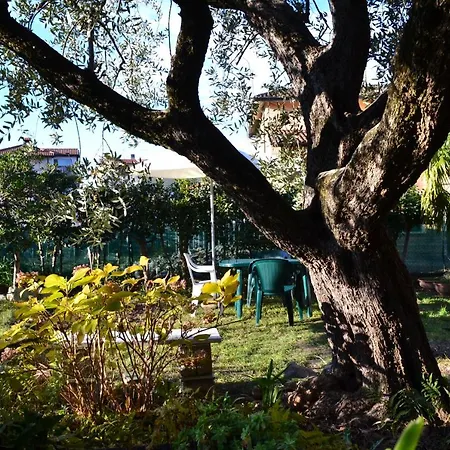 Casa Mia 3*